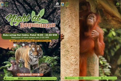 Kunjungi Kebun Binatang Ragunan Malam Hari, Cek Jadwalnya di Sini!