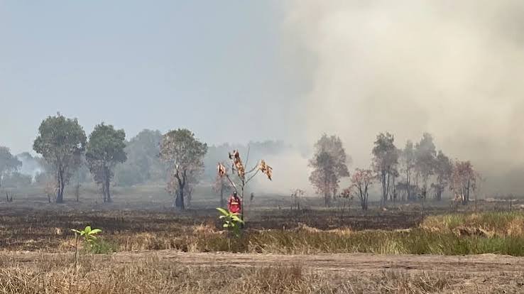 Karhutla Banjar Baru Surpass 969 Hektare, Warga Diimbau Gunakan Masker