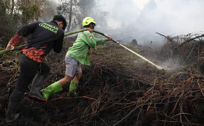 El Nino Godzilla: Penyebab Karhutla dan Prediksi Kapan Akan Berakhir Menurut BMKG