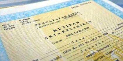 Akta Kelahiran Digital: Data Bayi Terhubung Langsung dari Fasilitas Kesehatan