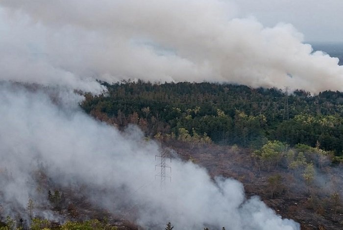 Kabut Asap Karhutla Ganggu Penerbangan di Pontianak, 21 Pesawat Terdelay dan Jadi Viral