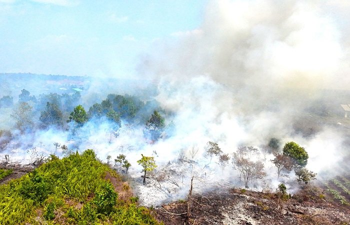 4 Perusahaan di Kalbar Diperiksa Kemenhut Terkait Karhutla dan Terancam Sanksi