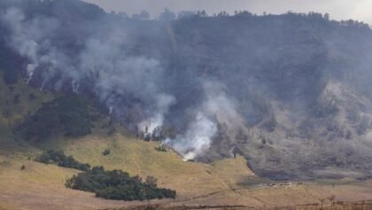 Kebakaran Meluas, Seluruh Wisata di Gunung Bromo Ditutup Total Sejak 8 Agustus 2026