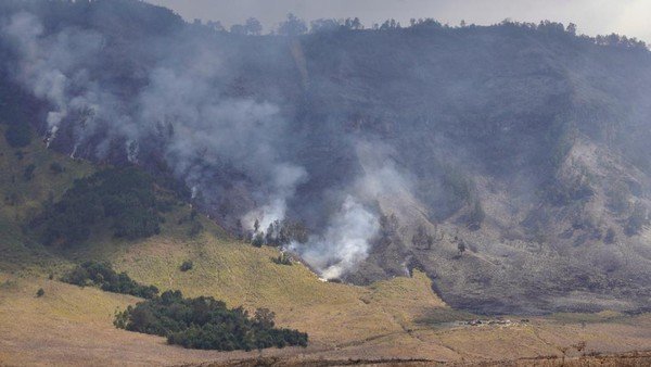 Kebakaran Meluas, Seluruh Wisata di Gunung Bromo Ditutup Total Sejak 8 Agustus 2026