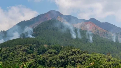 Kebakaran di Gunung Andong Magelang Hanguskan 3,67 Hektare Hutan, Viral di Media Sosial
