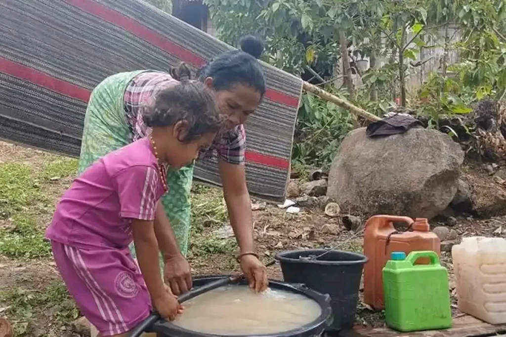 Krisis Air Bersih Puluhan Tahun, Warga Nagekeo Masih Bergantung pada Embung untuk Ternak