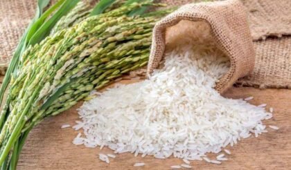 Beras Fortifikasi Bermasalah: Apa Dampak Sebenarnya Jika Sudah Tercampur Dalam Makanan Kita?