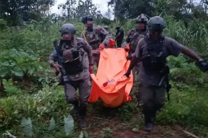 Tragedi Mengguncang: Tiga Pegawai Pemkab Jayawijaya Tewas Ditembak KKB saat Evaluasi Proyek Pertanian!