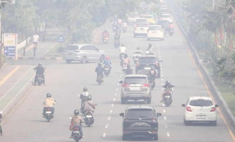 Dampak Karhutla di Kalbar-Kalteng: Sekolah Daring Berjalan Normal Meski Udara Berbahaya Menurut BNPB