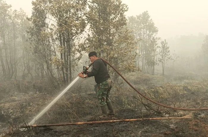 3 Perusahaan Malaysia dan Singapura Terlibat Kasus Kebakaran Hutan dan Lahan (Karhutla)