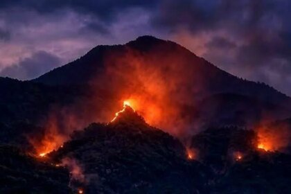 Karhutla Gunung Arjuno Mengancam! Api Meluas ke Singosari, Warga Harus Siaga!