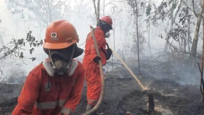 Presiden Prabowo Perintahkan Percepatan Penanganan Karhutla dengan Hercules untuk Operasi Udara